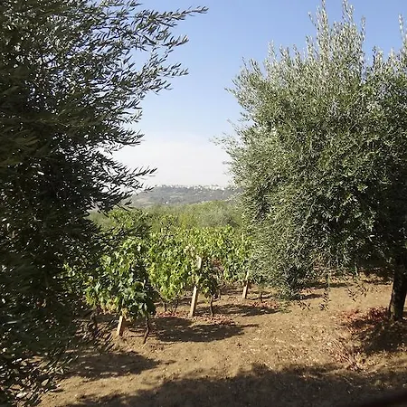 Casa Gioia *